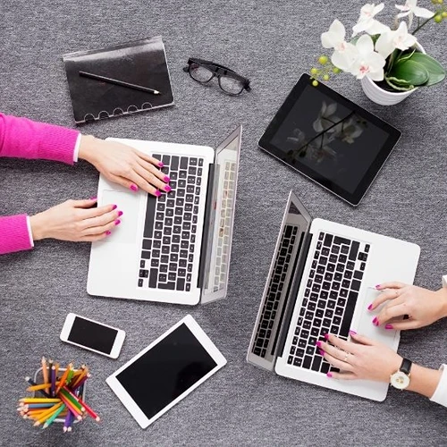 Evciler Web Tasarımcı